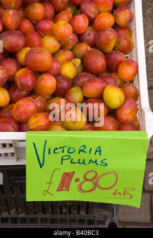 Victoria plums for sale outside Uk greengrocers Stock Photo