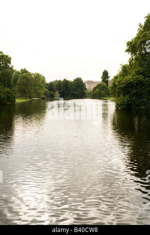 Buckingham Palace from St James's Park and the Lake. Stock Photo