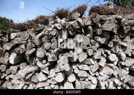 Large pile with logs and wood chips, sustainable renewable heat energy ...