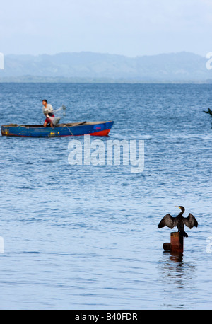 A fisherman throws his net from a traditional boat on Lake Nicaragua. On the foreground, a Cormorant spreads its wings to dry. Stock Photo