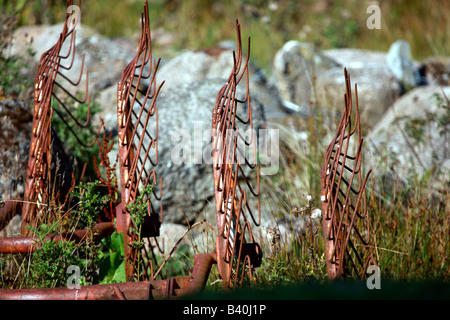 Rusty abandoned farm equipment Stock Photo