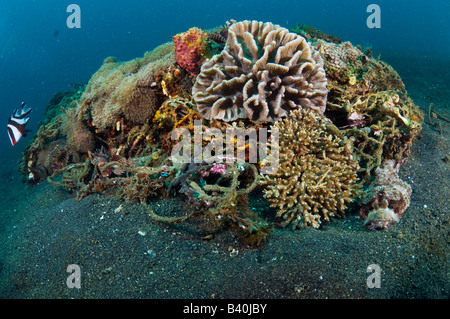 Corals and marine life slowly recycle and transform man made garbage and debris into small artificial reefs in Lembeh, Indonesia Stock Photo