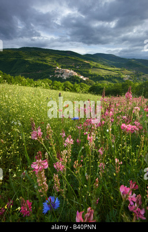 spring flowers growing in a field in the Valnerina with Preci beyond,Monti Sibillini National Park, Umbria, Italy Stock Photo
