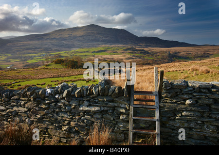 the Glyn Lledr near Dolwyddelan with Moel Siabod beyond, Snowdonia National Park, North Wales, UK Stock Photo