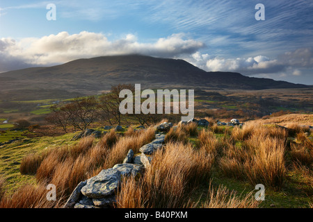 a stone wall above the Glyn Lledr near Dolwyddelan with Moel Siabod beyond, Snowdonia National Park, North Wales, UK Stock Photo