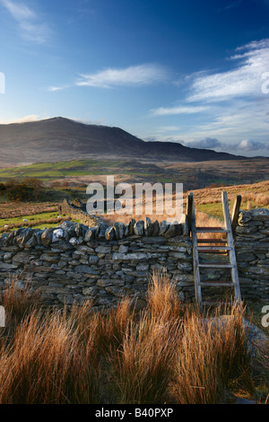 the Glyn Lledr near Dolwyddelan with Moel Siabod beyond, Snowdonia National Park, North Wales, UK Stock Photo