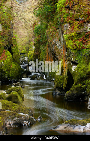 the Fairy Glen, a gorge on the Conwy River nr Betws-y-Coed, Snowdonia National Park, North Wales, UK Stock Photo