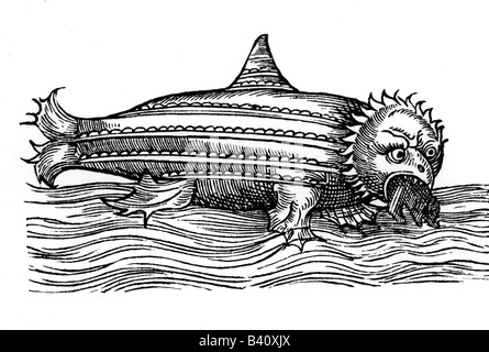 superstition, mythical creatures, Cyfius, woodcut, 16th century, sea monster, zoology, historic, historical, Stock Photo