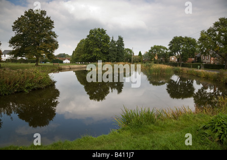 A Typical English Village Pond On A Village Green In Penn Bucks Stock a-typical-english-village-pond-on-a-village-green-in-penn-bucks-stock