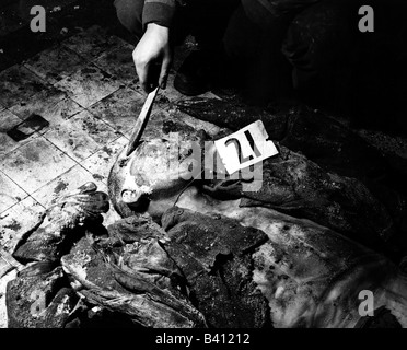 events, Second World War / WWII, war crimes, Malmedy massacre 17.12.1944, corpse of a US soldier, headshot, Stock Photo