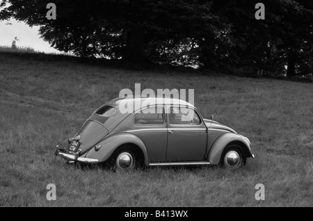 Volkswagen Beetle 1200 of 1955. car auto classic retro Stock Photo