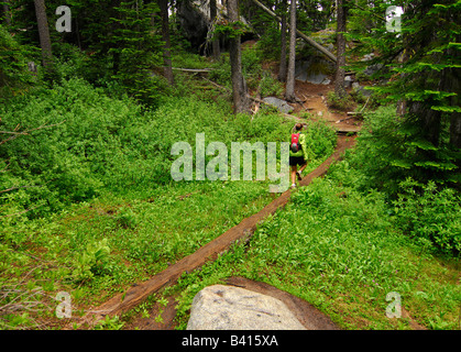 Washington, Cascade Mountains, Leavenworth.  A female trail runner in the woods near Colchuck Lake.  (MR) Stock Photo