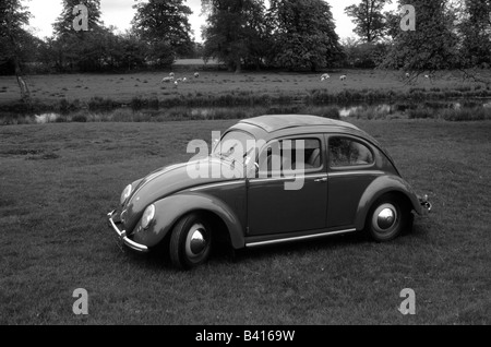 Volkswagen Beetle of 1951. car auto classic  cool Stock Photo