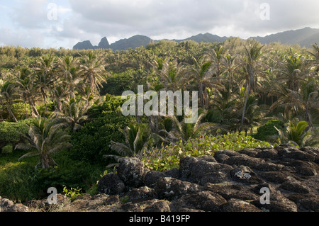 View of the Anahola Mountains from Papaa Bay Kauai Hawaii Stock Photo