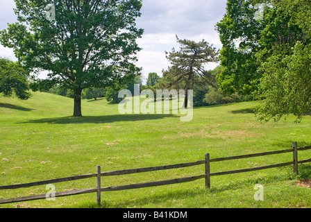 Grassy rolling meadow with trees in background and split-rail fence in foreground. Stock Photo