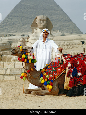 Egyptian guide with his camel in front of the Sphinx and Pyramid, Giza, Cairo, Egypt Stock Photo