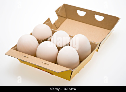 Duck eggs in recyclable cardboard packaging UK Stock Photo