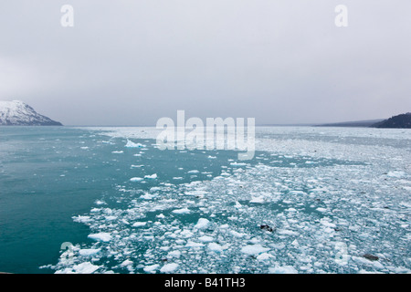 Flow ice and small icebergs from the Hubbard Glacier in Yakutat Bay Alaska Stock Photo