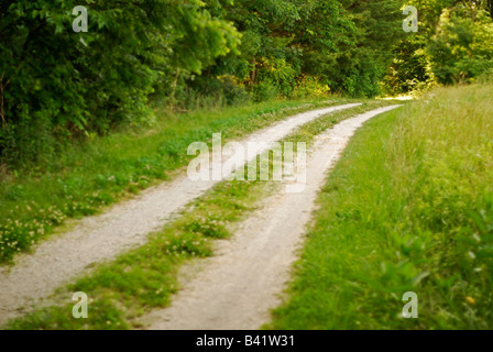 2 track Country lane through woods Stock Photo