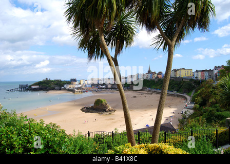 Harbour and town view from Gardens, Tenby, Carmarthen Bay, Pembrokeshire, Wales, United Kingdom Stock Photo