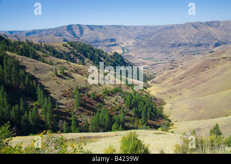 A view of the Inmaha Gorge or Canyon near Hells Canyon National Recreation Area Stock Photo