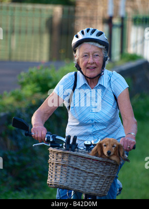 Old lady on a bicycle with a little dog in the basket Stock Photo