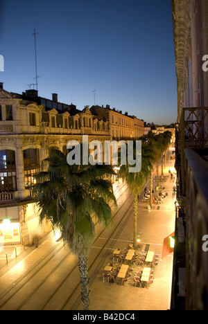 picturesque view of one of montpellier's palm lined main streets at night Stock Photo