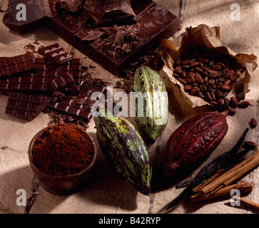 Cacao beans and shell Stock Photo