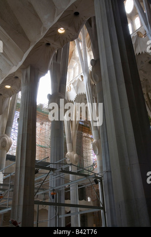 The interior of Sagrada Familia (Church of the Holy Family), the ...