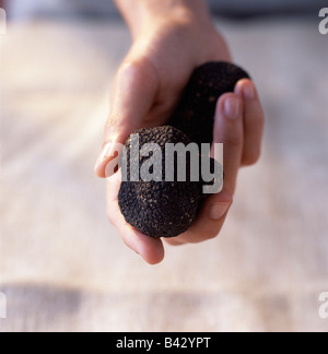 truffles Stock Photo