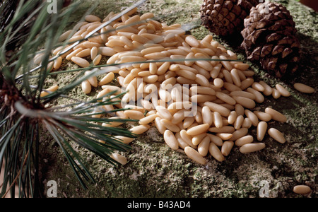 Pine nuts and fir cones Stock Photo