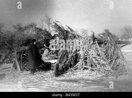 events, Second World War / WWII, Russia 1942 / 1943, camouflaged German 88 mm anti-aircraft gun, ready for use against Soviet ground targets, Novocherkassk, 11.2.1943, AA, artillery, guns, camouflage, winter clothes, soldier, gunner, artilleryman, Wehrmacht, snow, cannoneer, Soviet Union, USSR, Eastern Front, 20th century, historic, historical, position, Novocerkassk, 8.8 cm, people, 1940s, Stock Photo