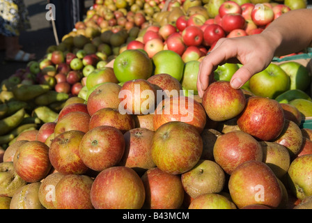 Farmers Market South East London Organic Coxs apples Blackheath UK HOMER SYKES Stock Photo