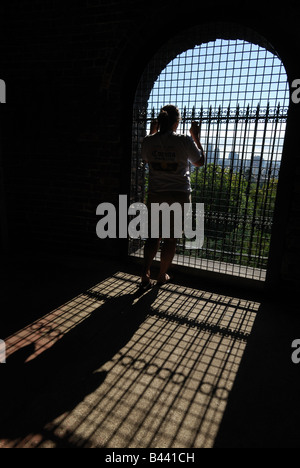 The view from the water tower in Seattle's Volunteer Park. Stock Photo