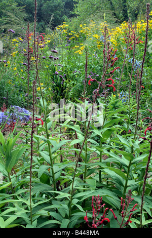 HOLBROOK THE STONE GARDEN IN LATE SEPTEMBER Stock Photo