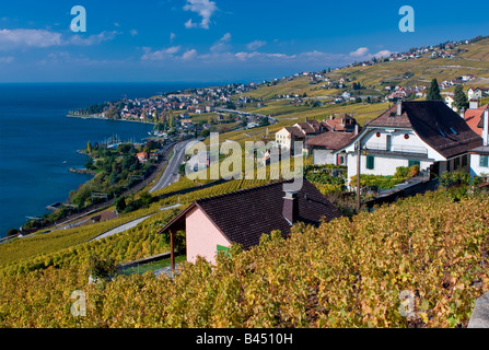 Lavaux vineyards and lake Geneva, swiss UNESCO world heritage site Stock Photo