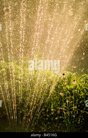Sprinkler in yard watering flowers Stock Photo