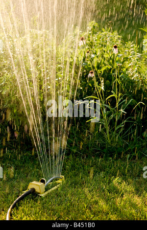 Sprinkler in yard watering flowers Stock Photo
