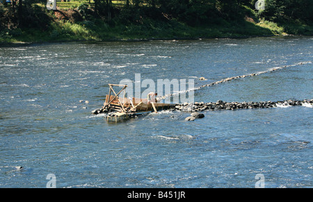 An eel weir on the Delaware River between Pennsylvania An eel man is working on the weir in the middle of the river. Stock Photo