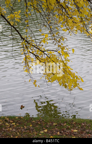 The picturesque Ixelles Ponds in the suburbs of the city of Brussels, Belgium photographed during the Autumn season Stock Photo