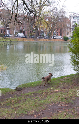 The picturesque Ixelles Ponds in the suburbs of the city of Brussels, Belgium photographed during the Autumn season Stock Photo