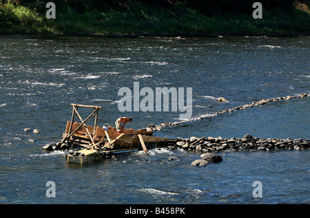 An eel weir on the Delaware River between Pennsylvania An eel man is working on the weir in the middle of the river. Stock Photo