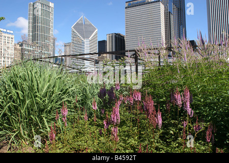 The Lurie Garden in the Millennium Park, Chicago, Illinois Stock Photo