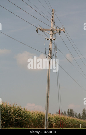 Wood electric pole in rural midwest USA Stock Photo