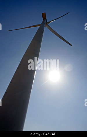 Wind powered electricity generating turbines up on towers