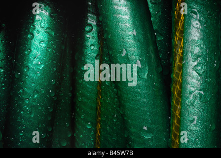 A closeup of a bright green garden hose, rolled up, moist with water drops. Stock Photo