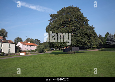 Tree and cottages Westleton village green Suffolk, England Stock Photo