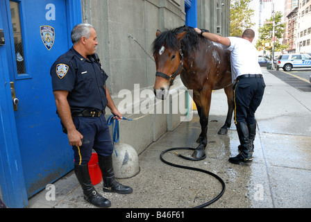 Two New York City police officers give a horse from the Mounted Unit a bath on this street in Tribeca, New York City. Stock Photo