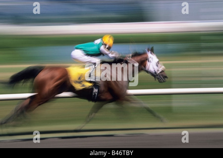 Horse Race Stock Photo