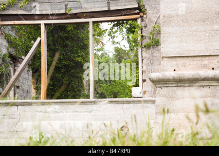 A wall of the Dungeness Ruins on Cumberland Island National Seashore Stock Photo